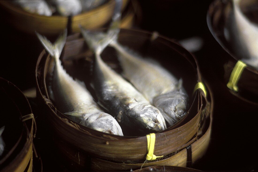 Steamed fish in steaming basket (on Bangkok market)