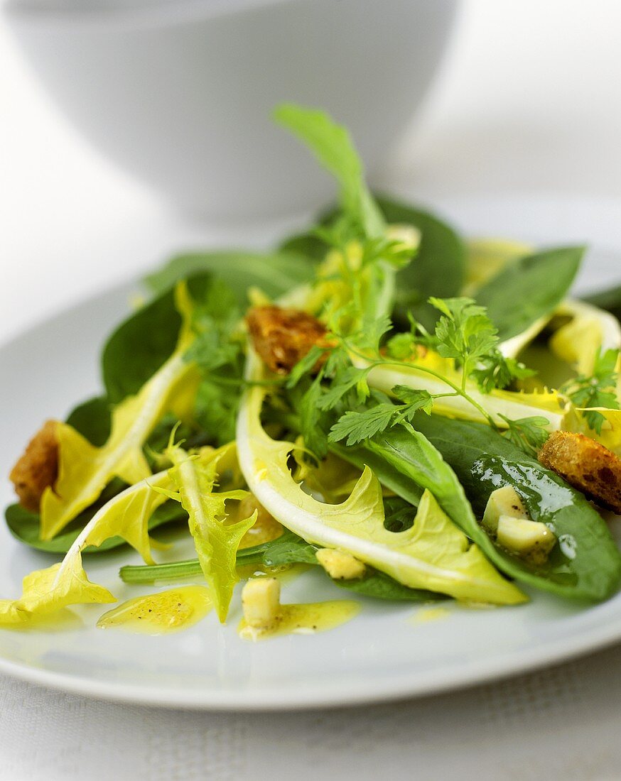 Löwenzahn-Sauerampfer-Salat mit Käse und Croûtons