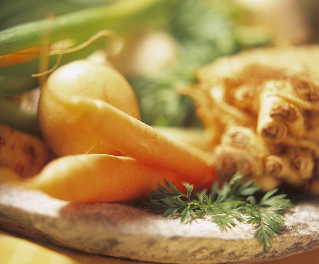 Still life with soup vegetables