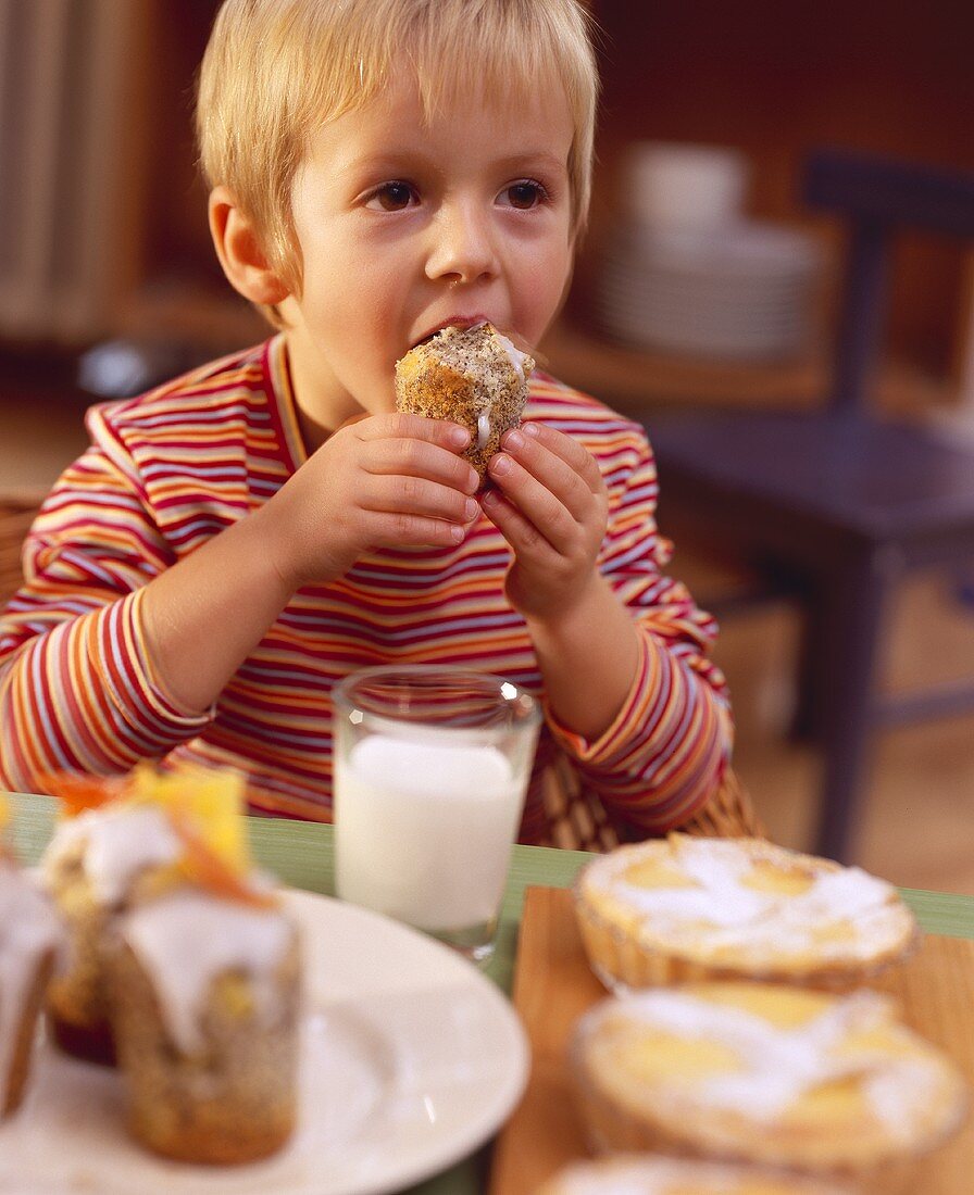Kleiner Junge am Tisch mit Gebäck, Milch beisst in Mohnmuffin