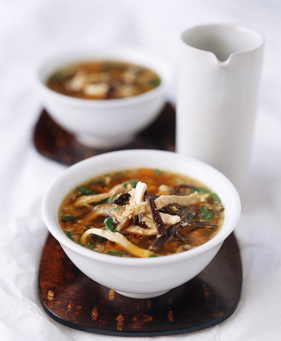 Chinese Hot and Sour Soup with Pork and Mushrooms