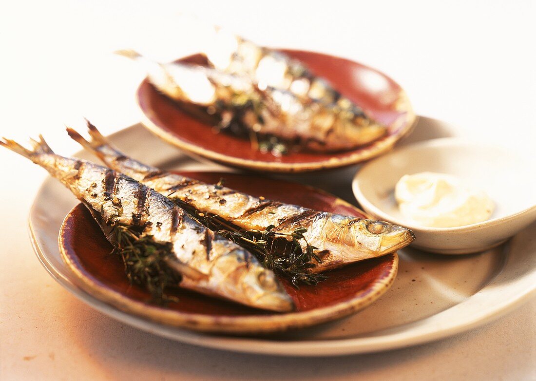 Barbecued sardines and a bowl of aioli (garlic sauce)
