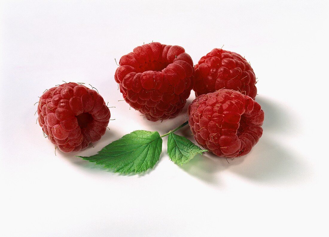 Four raspberries and a raspberry leaf
