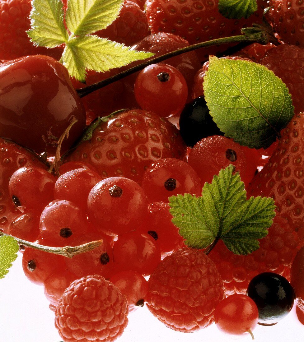 Erdbeeren, Himbeeren, Johannisbeeren und eine Kirsche