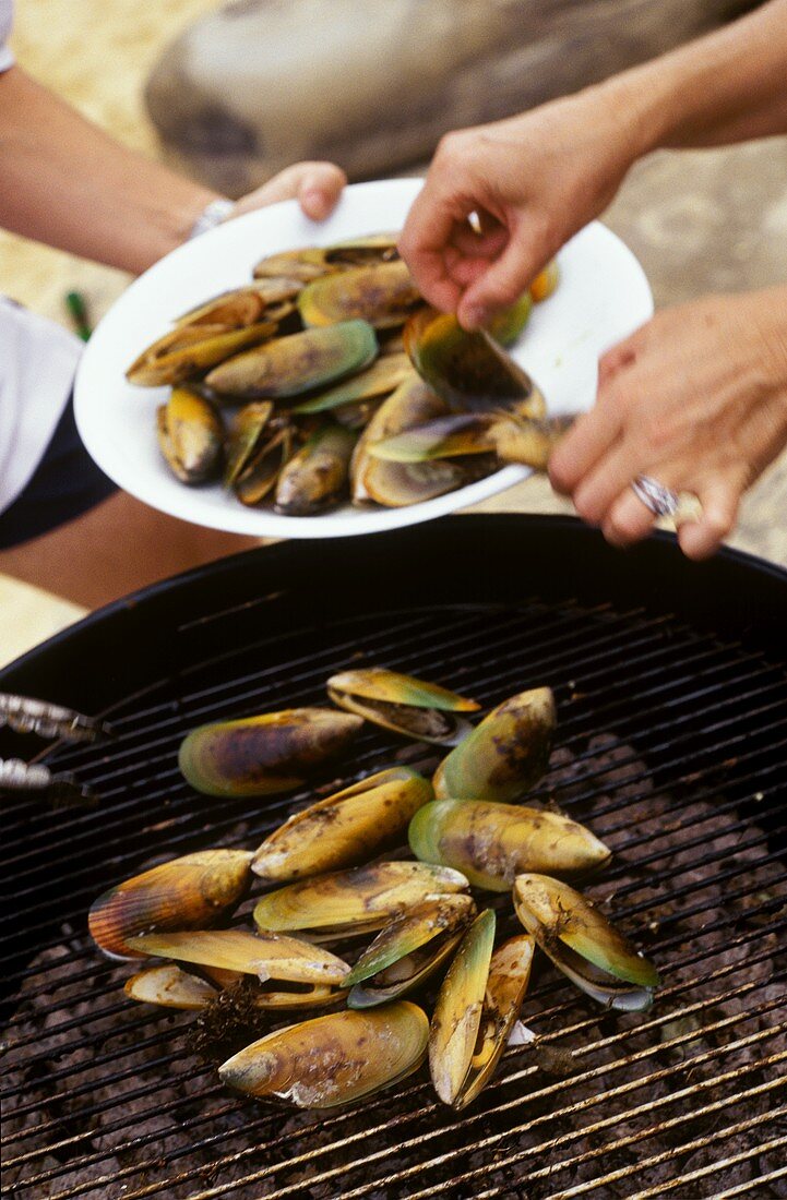 Grilling green mussels 