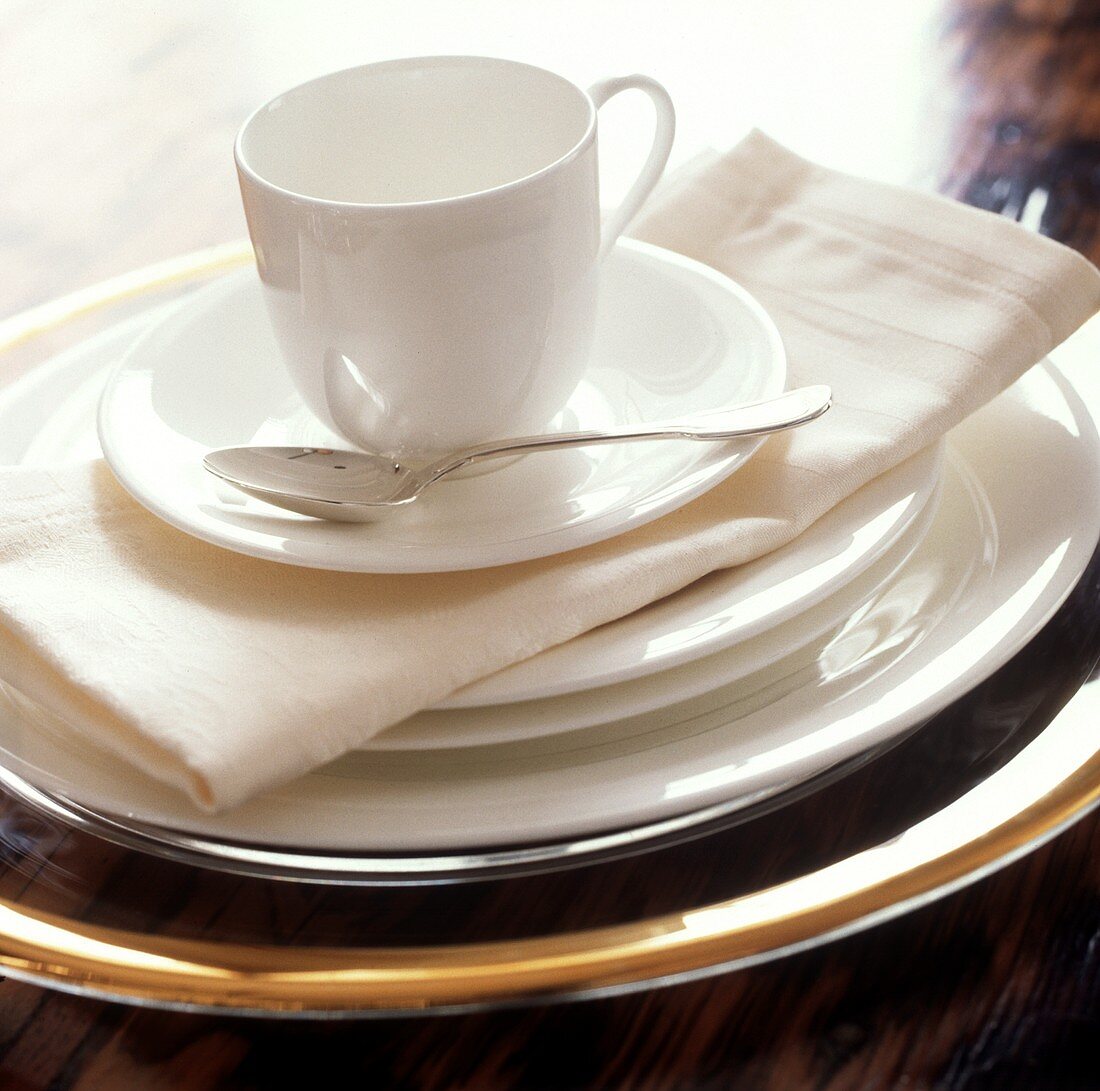A table setting with large & small plates and coffee cup