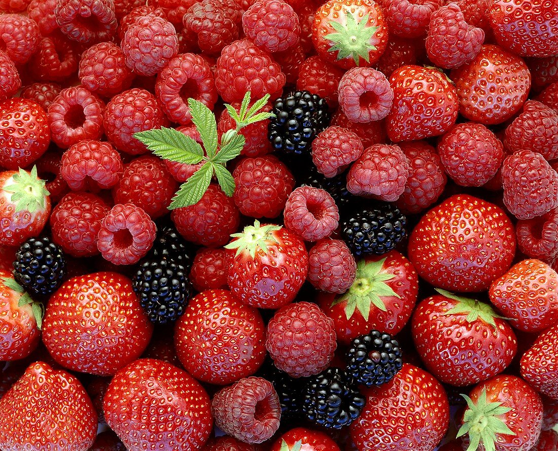 Himbeeren, Erdbeeren und Brombeeren (bildfüllend)