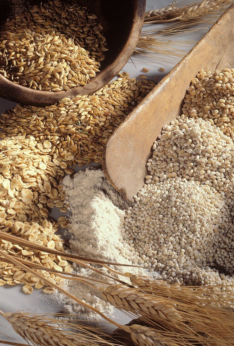 Cereals: ears, grains and crushed grains