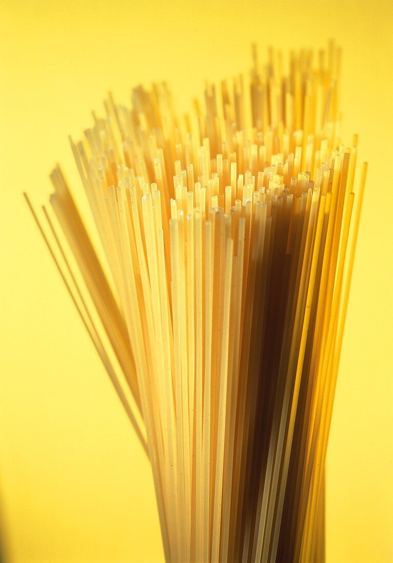 Spaghetti vor gelbem Hintergrund