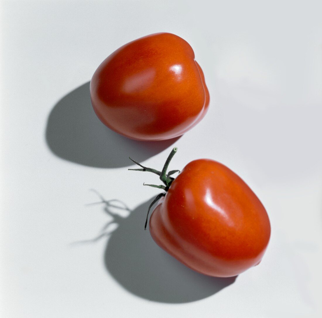 Eiertomaten