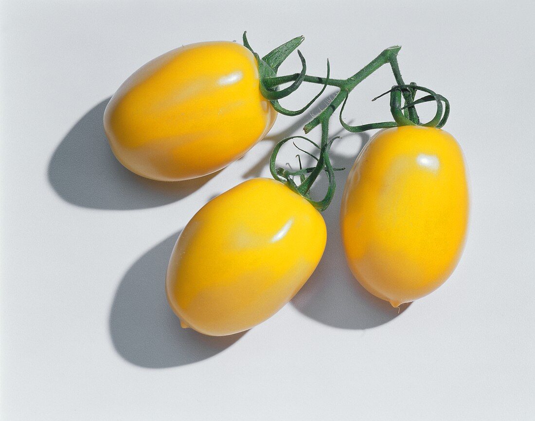 Yellow plum tomatoes