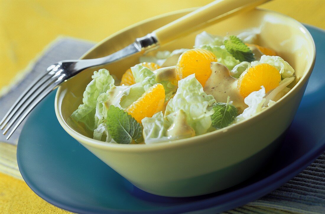 Chinakohl-Mandarinen-Salat – Bilder kaufen – 164789 StockFood