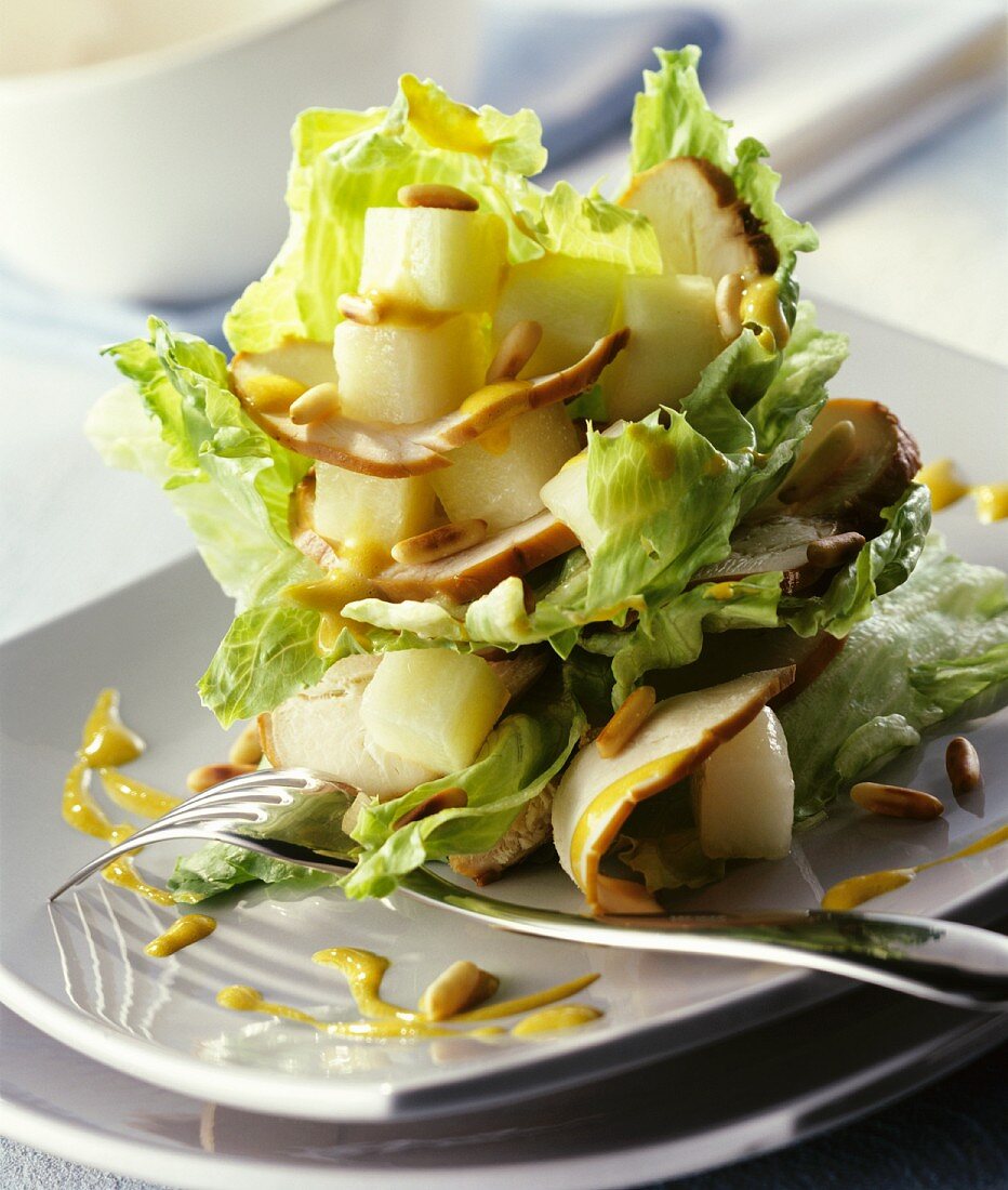 Eisbergsalat mit Hähnchenbrustfilet und Honigmelone