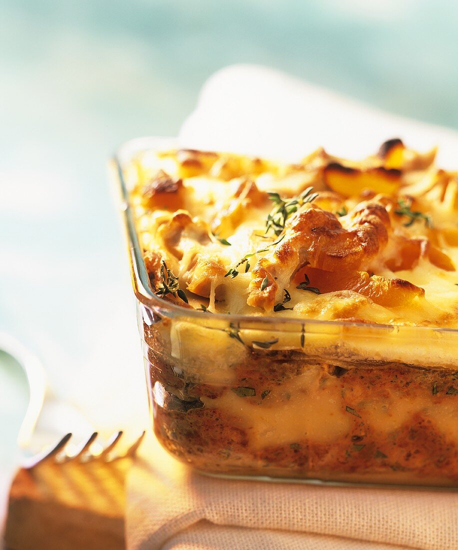 Chicken lasagne with apricots