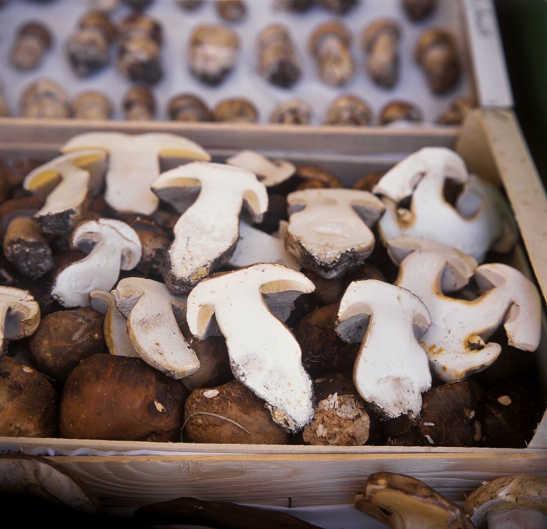Ceps, whole and half, in wooden box