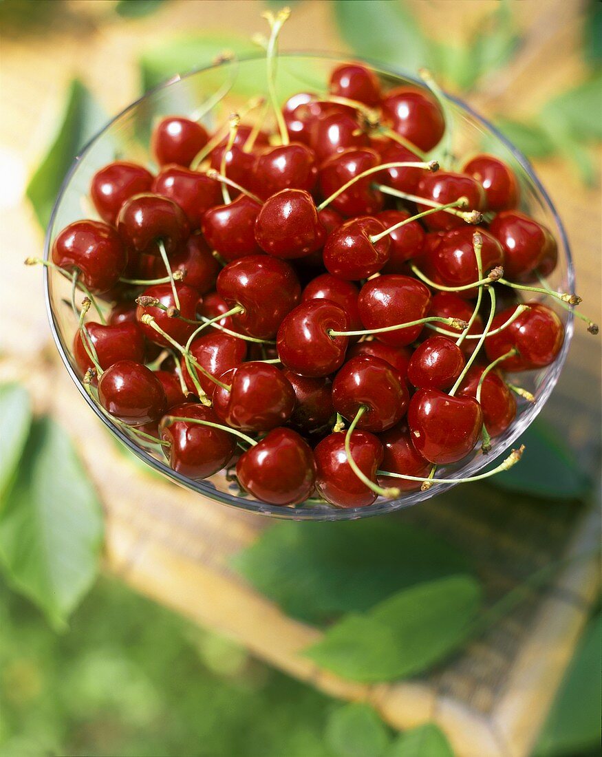 Red cherries in a glass dish