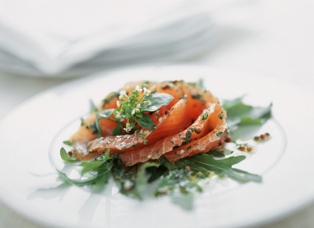 Exotically marinated Graved Lachs on rocket leaves