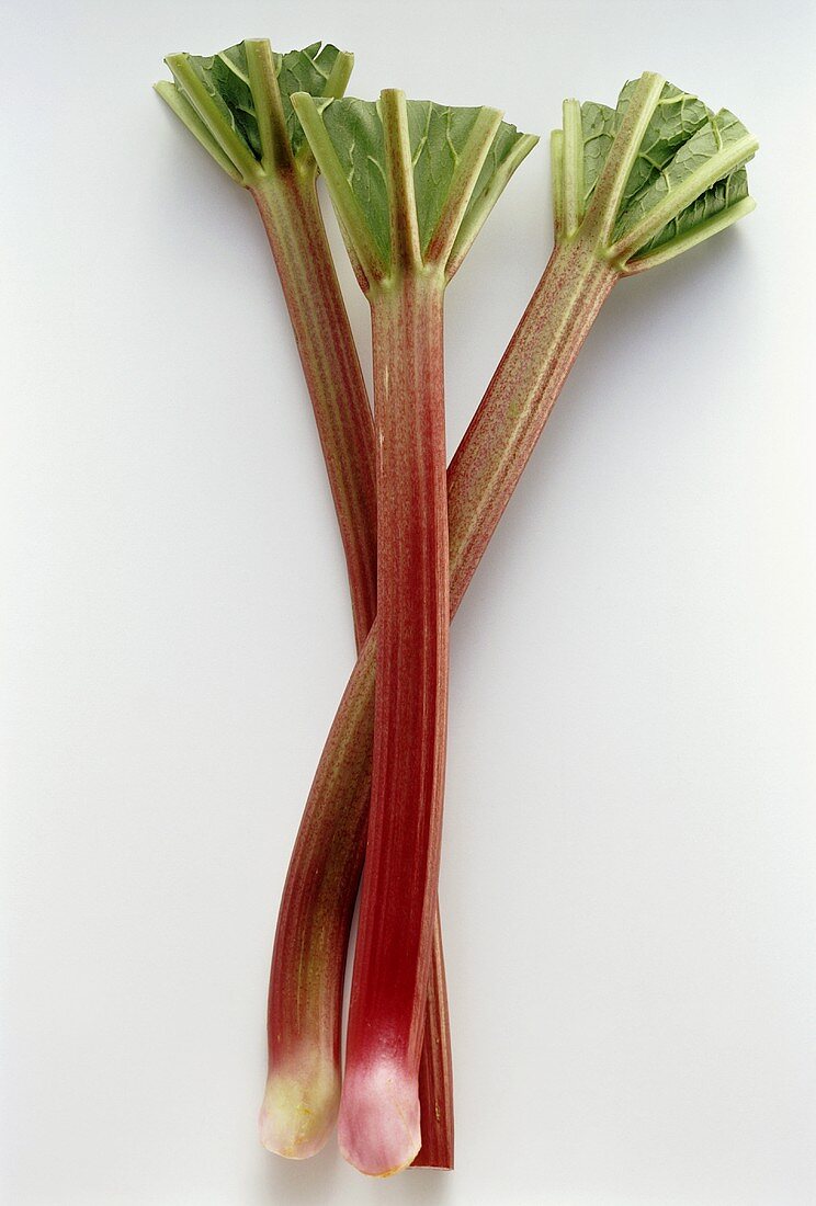 Three Rhubarb Stalks