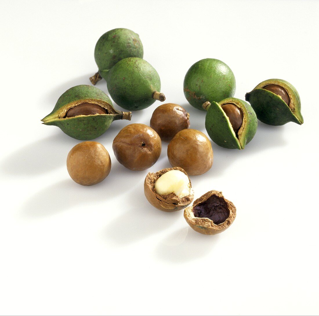 Macadamia Nuts