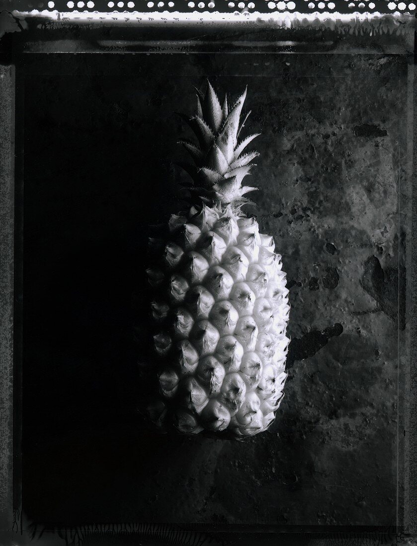 A pineapple (b/w photo)