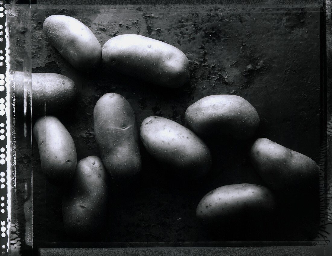 Potatoes (b/w photo)