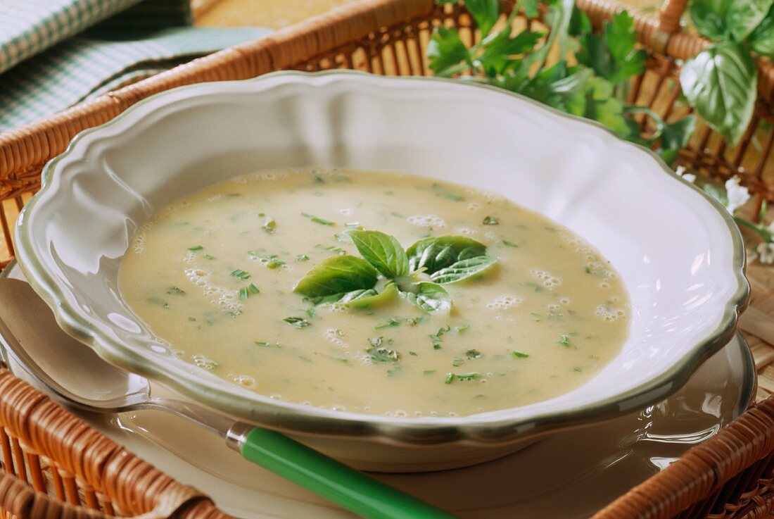 Creamed herb soup