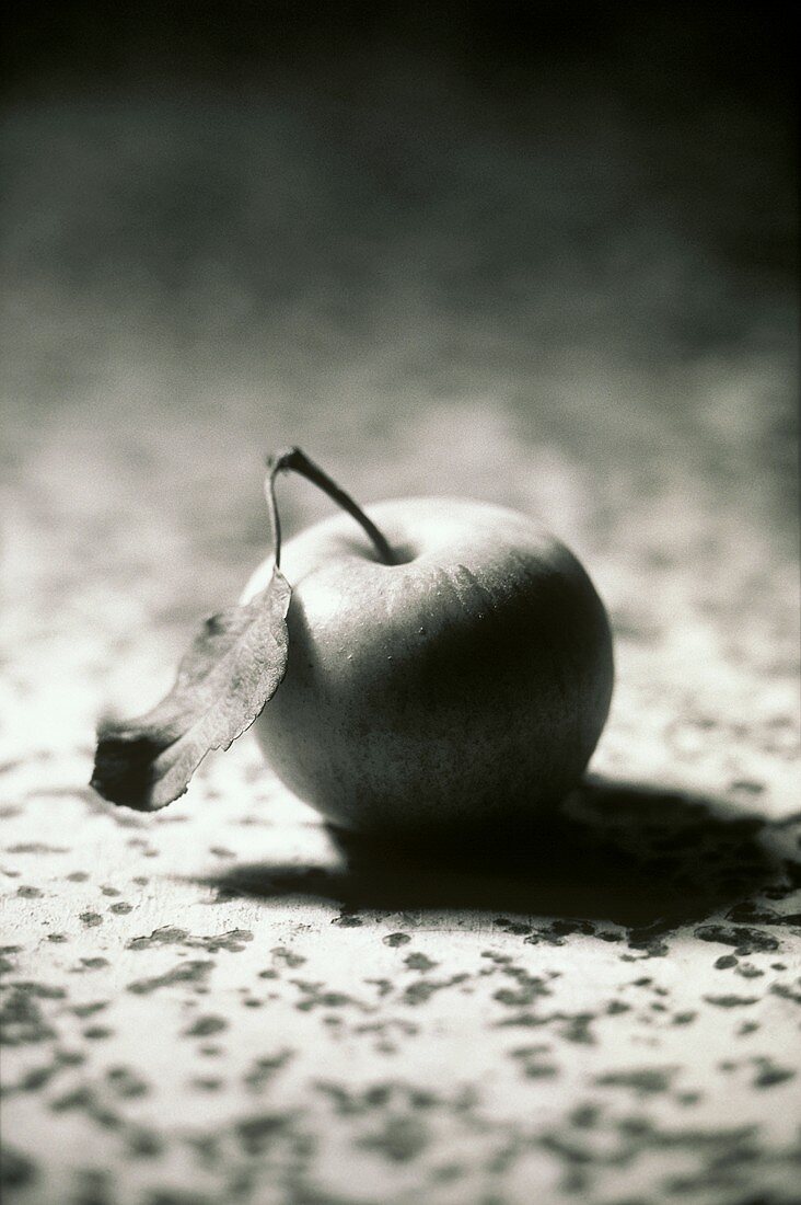 Ein Apfel mit Blatt (s-w-Aufnahme)