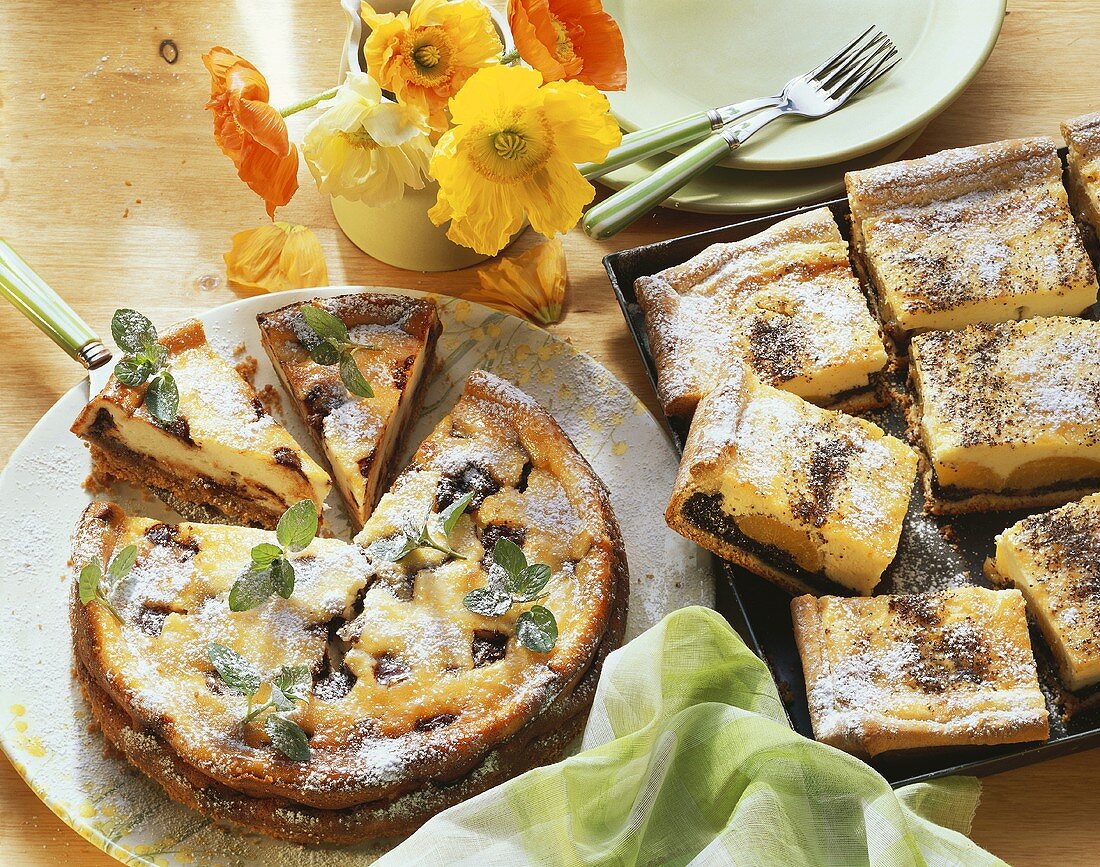 Käsekuchen mit Schoko-Minze & Mohn-Aprikosen-Käsekuchen