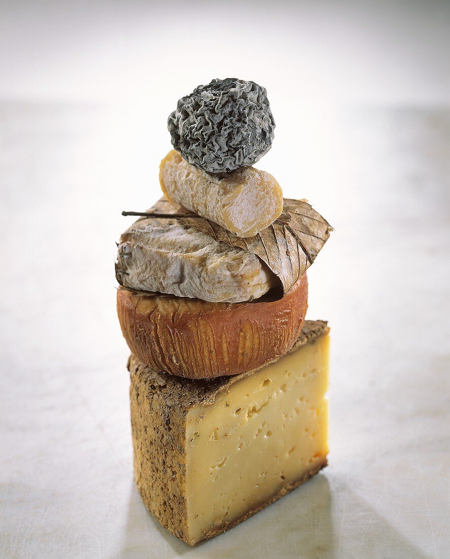 Stillleben mit verschiedenen französischen Käsesorten
