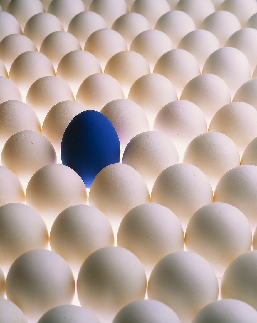 Viele weiße Eier und ein blaues Ei