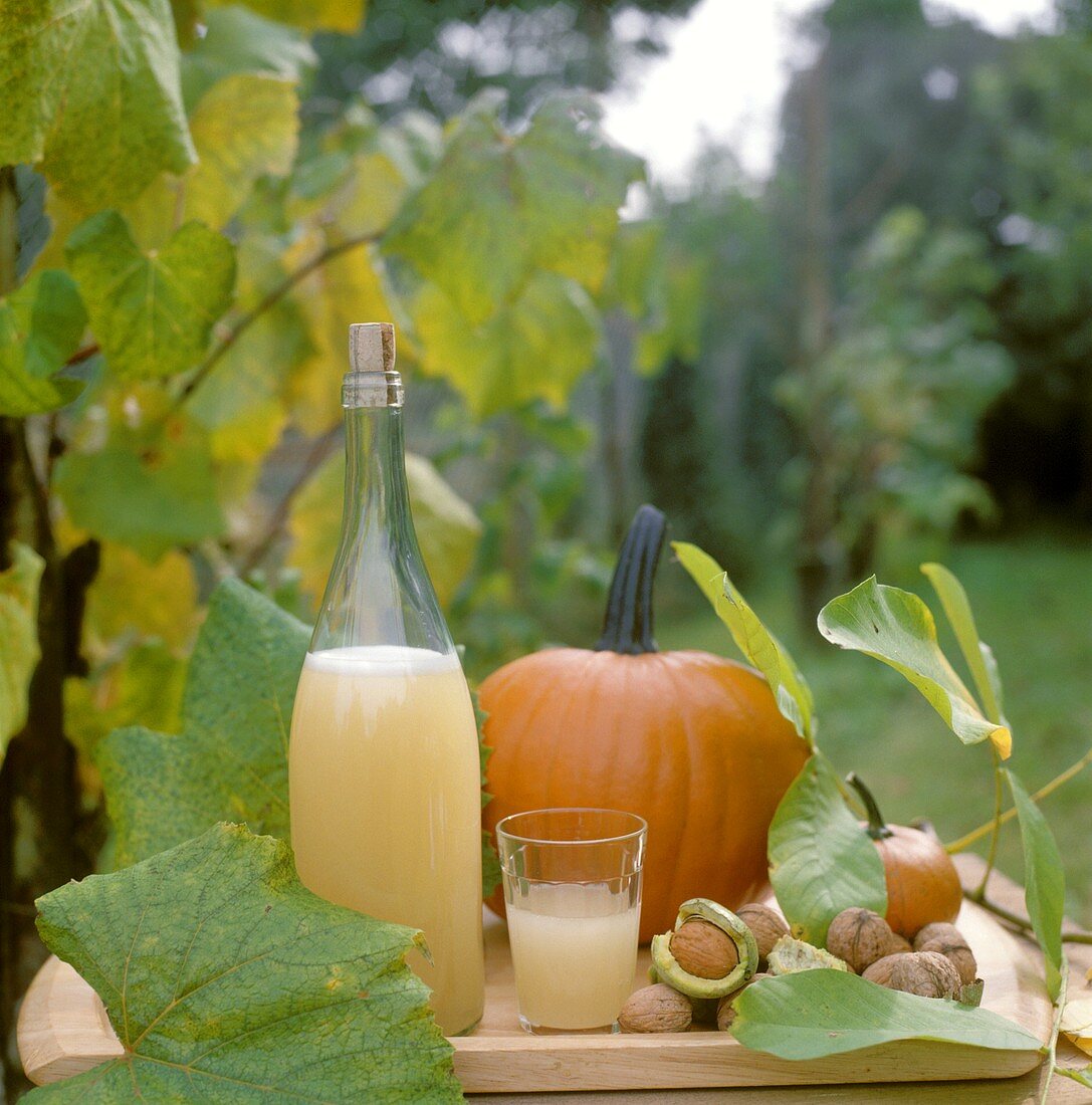Federweisser (new wine), pumpkins & walnuts on garden table