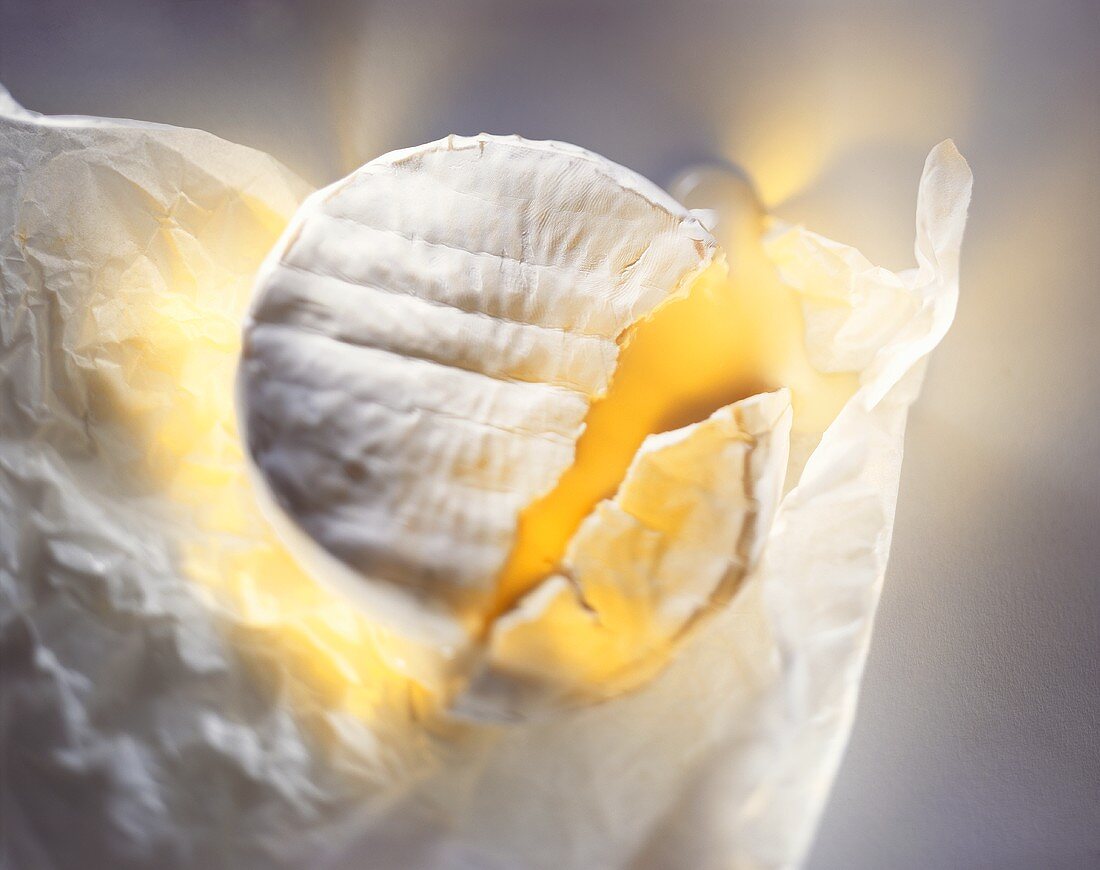 Camembert auf Papier