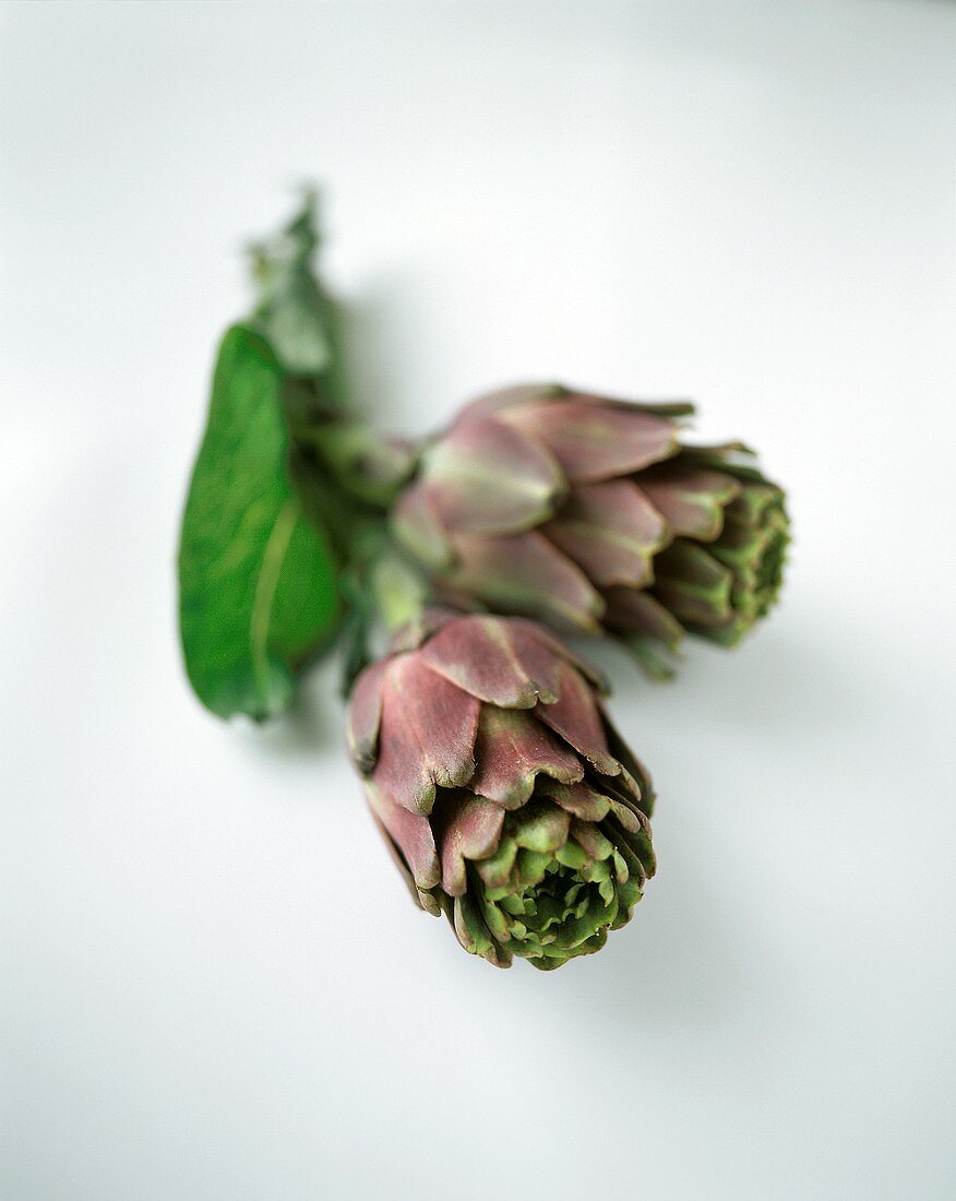 Two Artichokes