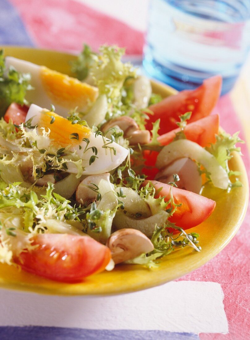 Friseesalat mit Portweinsauce, Kresse, Gemüse und Ei