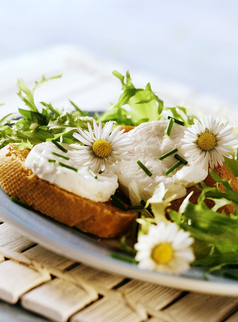 Friseesalat mit gratiniertem Ziegenkäse