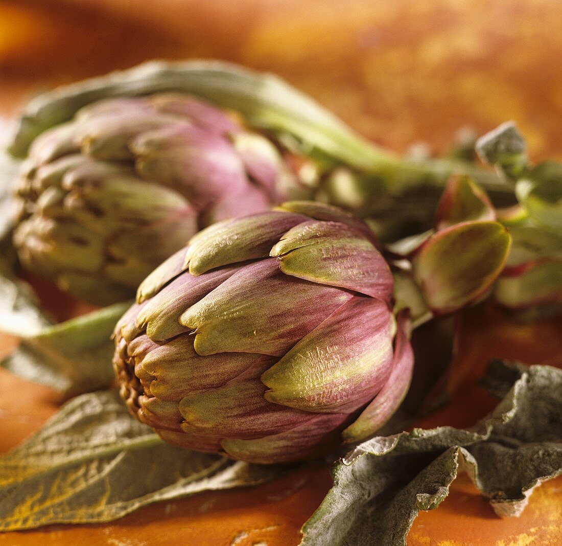 Small violet artichokes