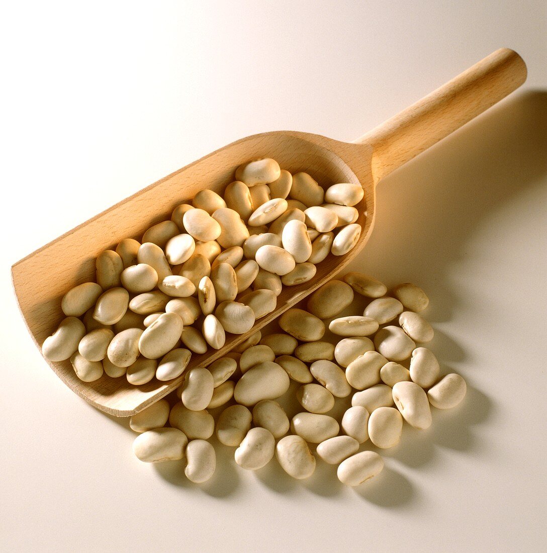 White beans on wooden scoop