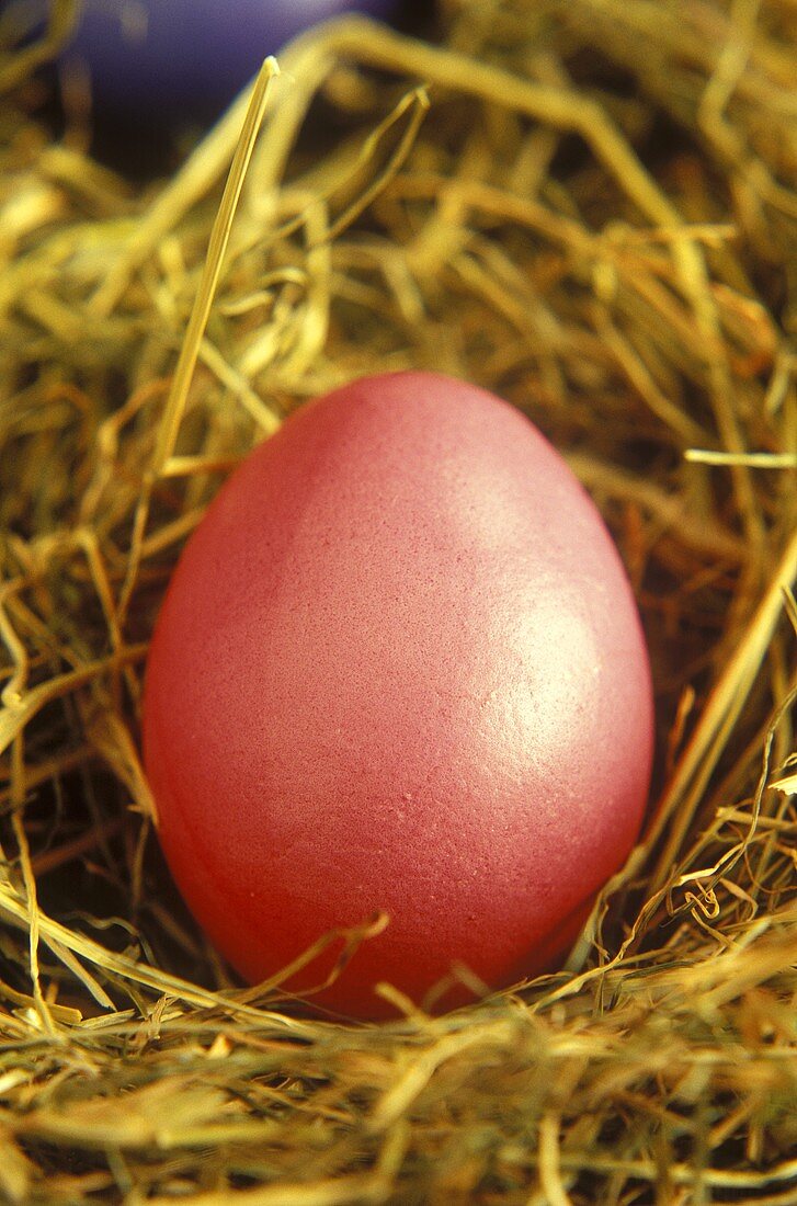 Red Easter egg on straw