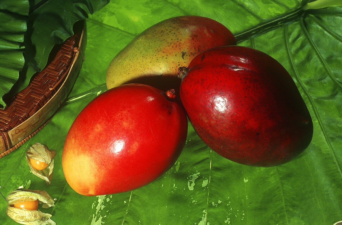 Drei Mangos