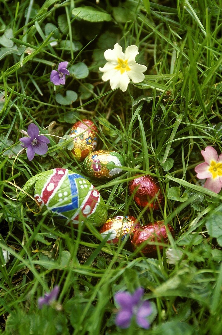 Chocolate eggs in grass