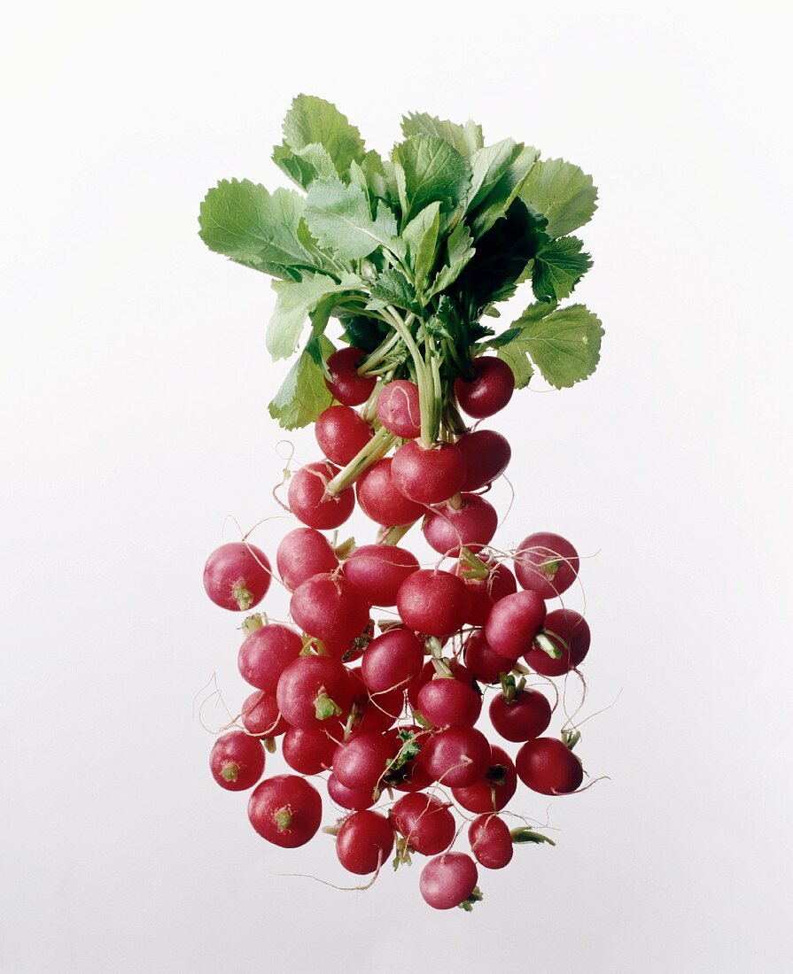 Radishes, some with leaves