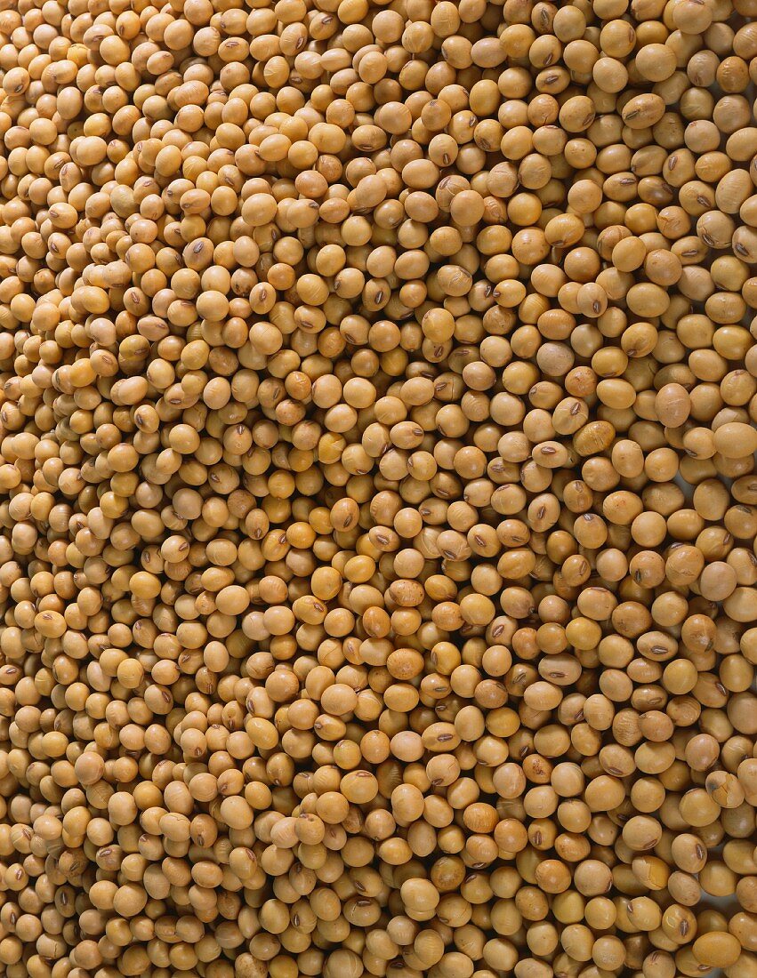 Soya beans (filling the picture)