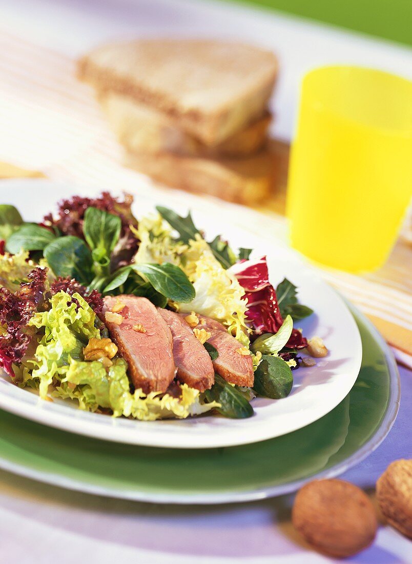 Green salad with carved duck breast