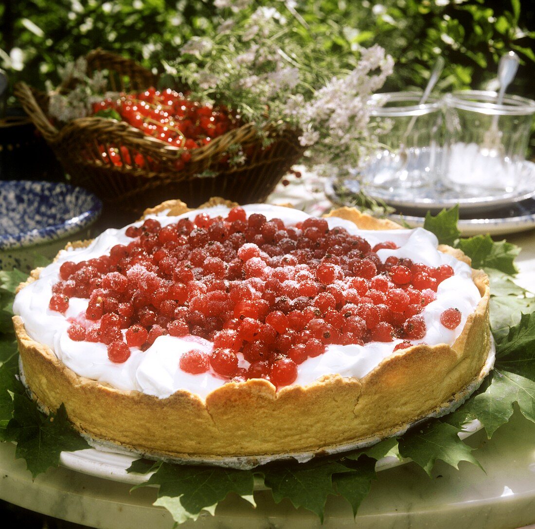 Eine Johannisbeertorte mit Eischnee