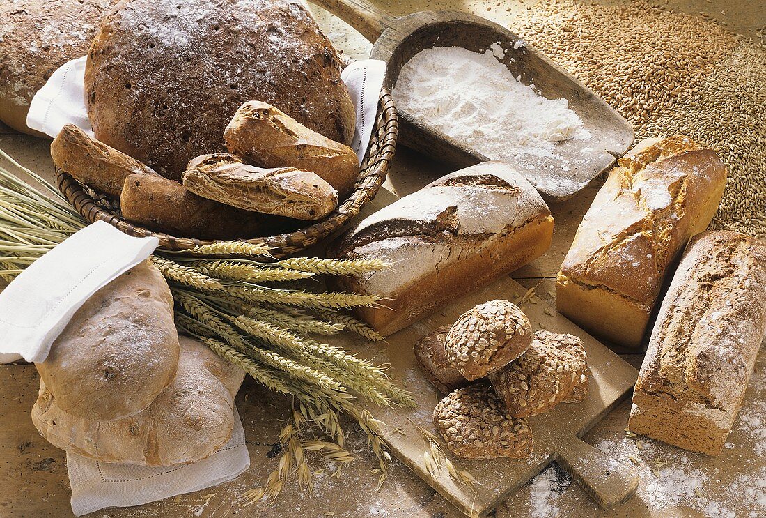 Still life with several types of bread and rolls