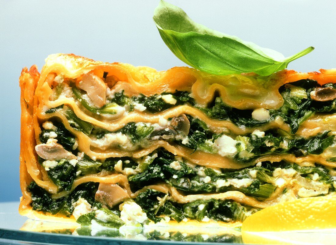 Green lasagne with spinach and ricotta cheese
