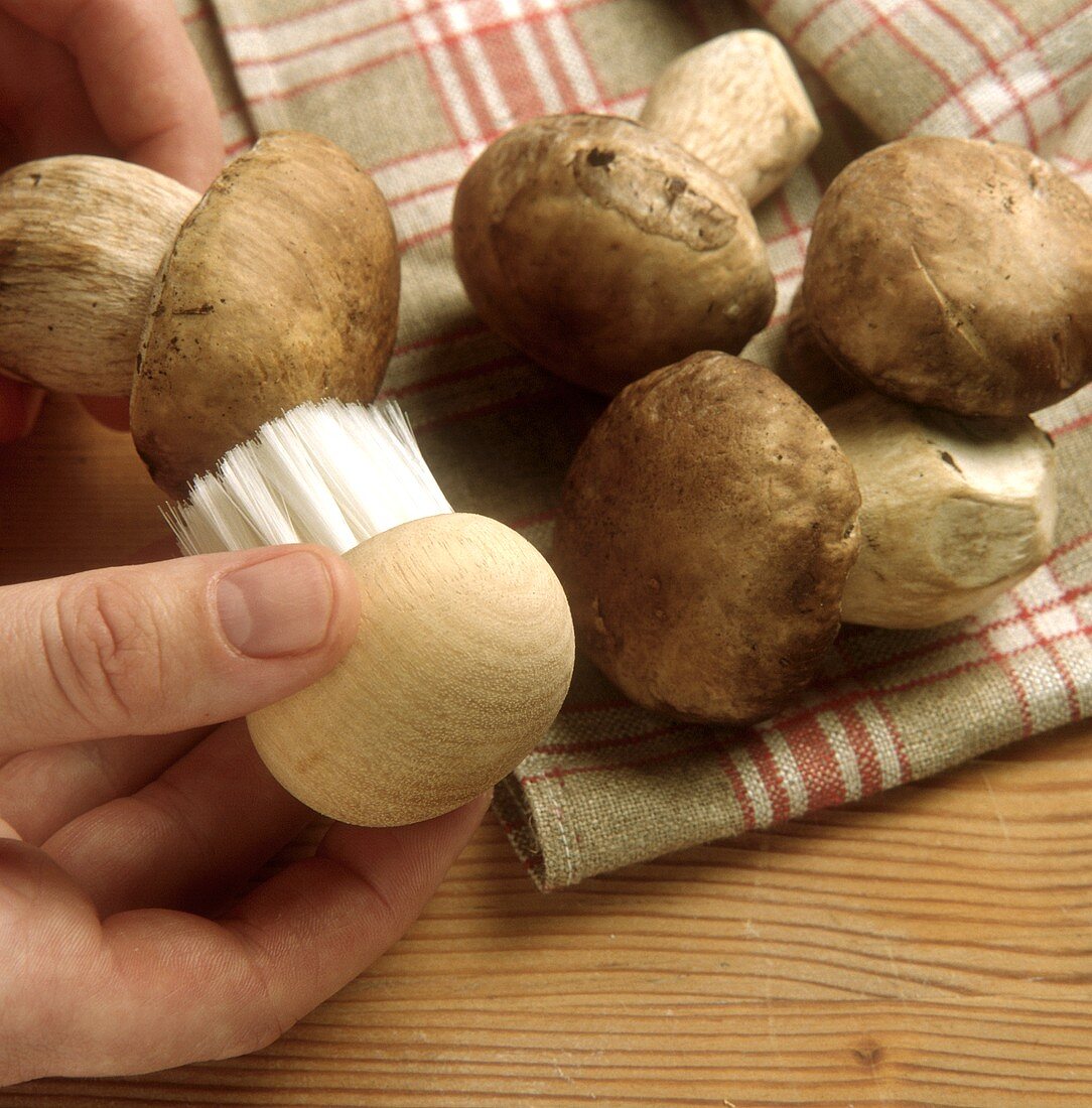 Cleaning ceps