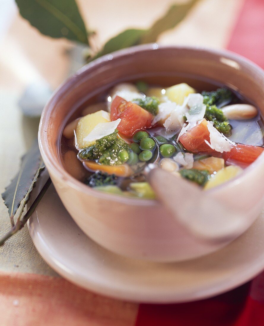 Schnelle Minestrone