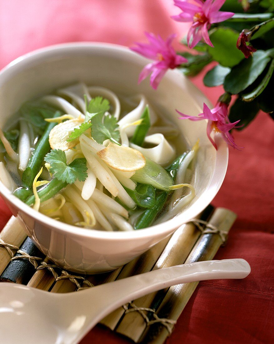 Thai vegetable and noodle soup