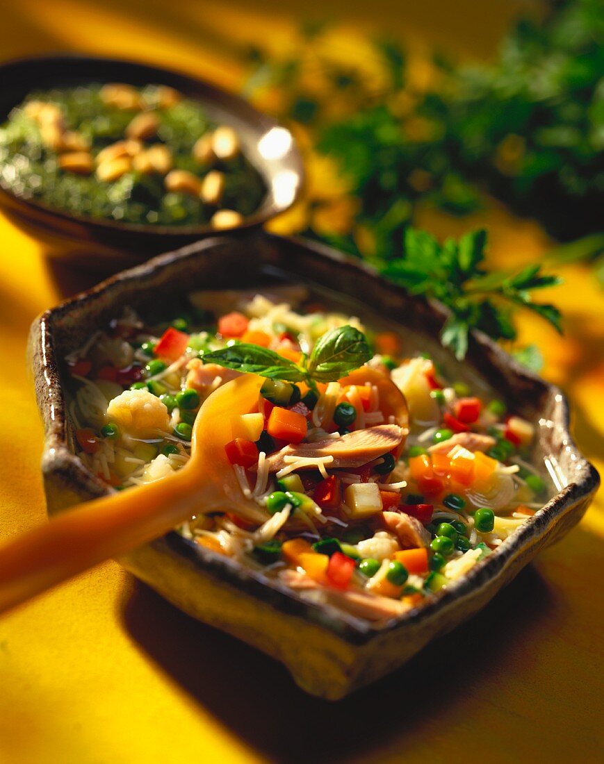 Minestrone (Gemüsesuppe mit Nudeln und Hähnchenfleisch)